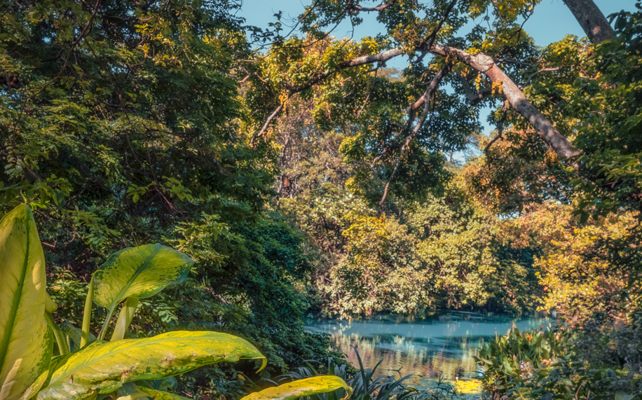 Natural pool 